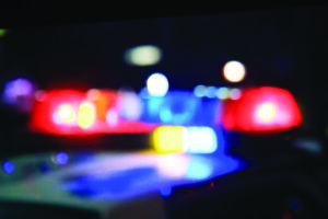 Stolen vehicle report in Westover quickly leads to fugitive arrest